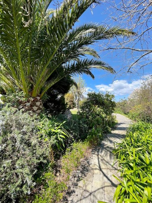 Roscanvel Les Agapanthes - Vue Mer מראה חיצוני תמונה